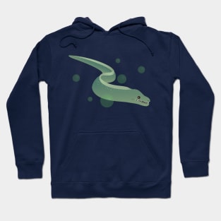 A Haze of Morays Hoodie